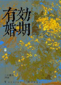 有效婚期二十迷川